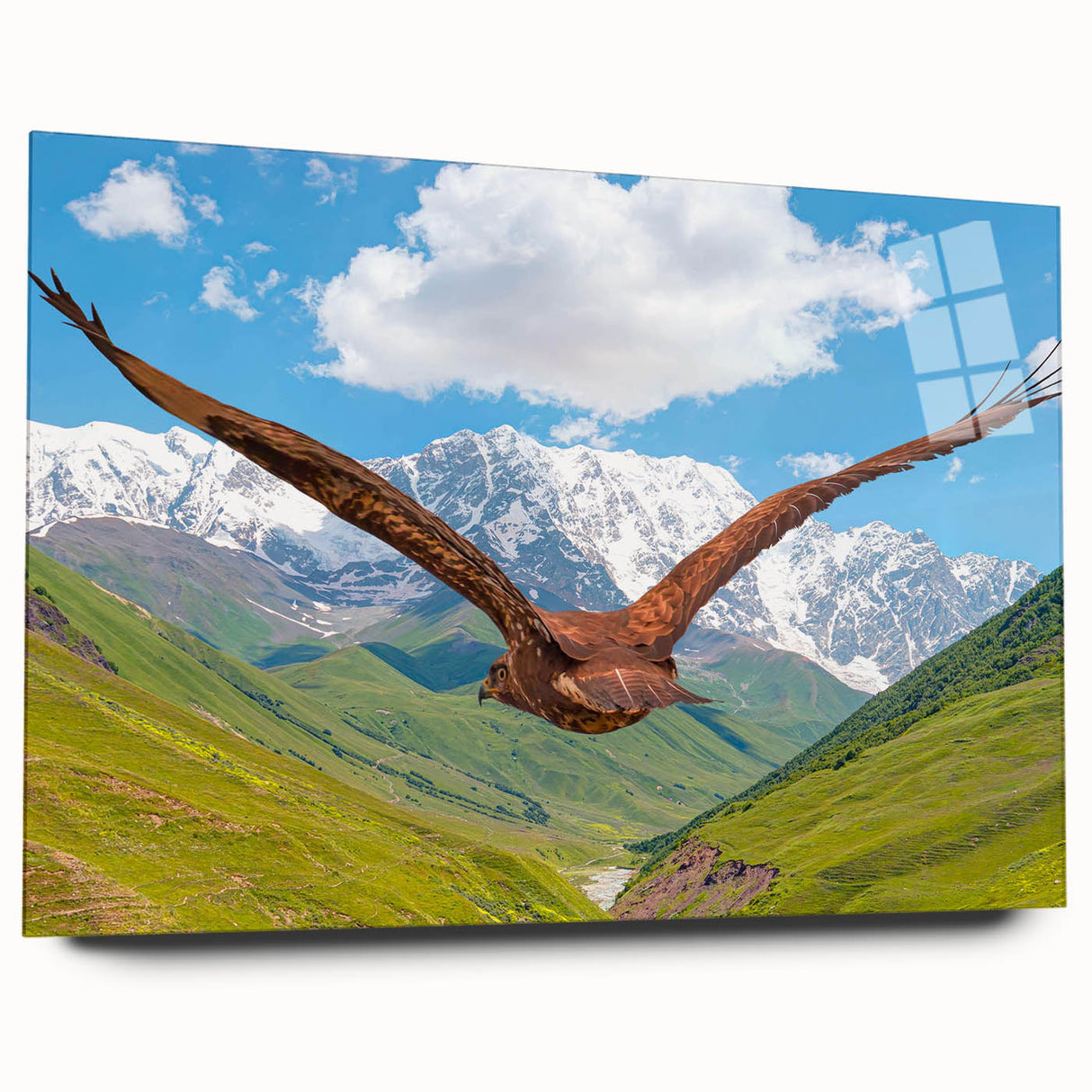 Acrylic glass wall art showcasing a vibrant birds of prey design, displayed from the side to highlight its sleek profile and modern aesthetic for home decor.
