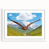 Framed wall art collection showcasing a vibrant "Birds of Prey" design, featuring detailed illustrations of various birds, set in a white mat for an elegant presentation.