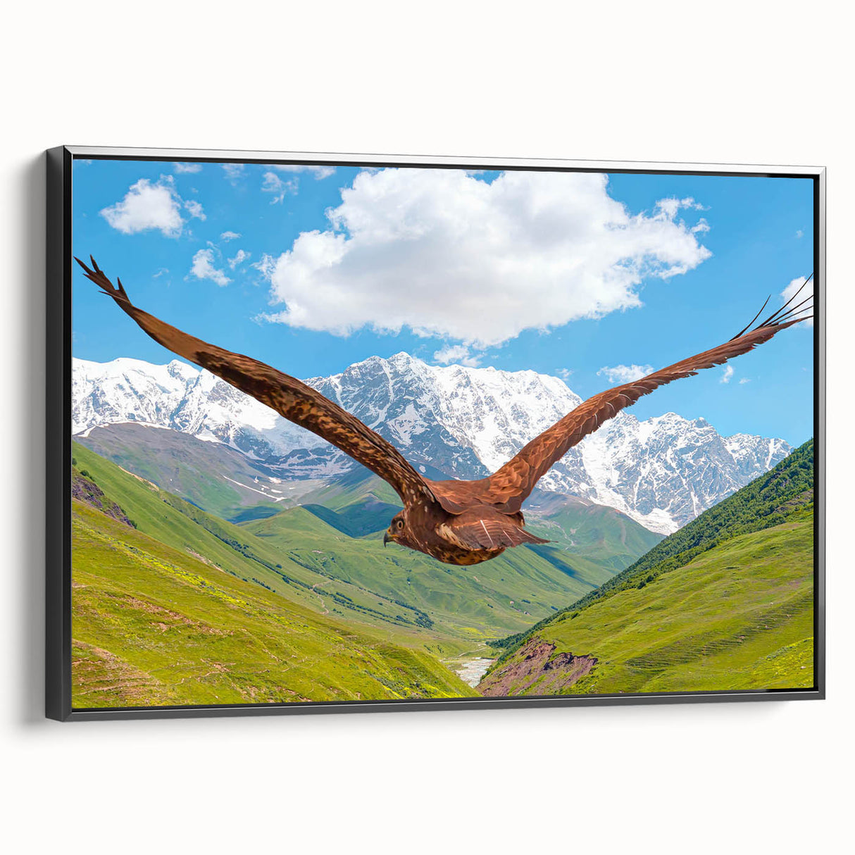 Framed canvas wall art from the Birds of Pray collection, showcasing intricate bird designs in vibrant colors, with a sleek black frame emphasizing its elegance. Perfect for enhancing modern home decor or bird-themed interiors.