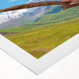 Vibrant rolled canvas artwork showcasing an intricate design of colorful birds, ideal for home decor, emphasizing nature's beauty and artistic expression.