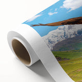 Colorful rolled canvas artwork showcasing a vibrant design of various birds, ideal for home decor, packaged securely in a durable cardboard tube for protection.