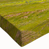 Close-up of a vibrant stretched canvas artwork showcasing a collection of colorful birds in flight, perfect for enhancing any home decor or nature-themed space.