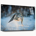 Acrylic glass wall art featuring a vibrant birds of prey design displayed from a side view, secured with decorative pins, perfect for enhancing modern home decor.