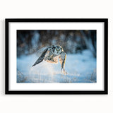 Framed wall art featuring a detailed design of various birds from the "Birds of Pray" collection, showcasing vibrant colors against a sleek black frame, ideal for modern decor.