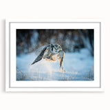 Framed wall art print titled "Birds of Prey," showcasing detailed illustrations of various birds in vibrant colors, set against a white background, perfect for nature lovers.