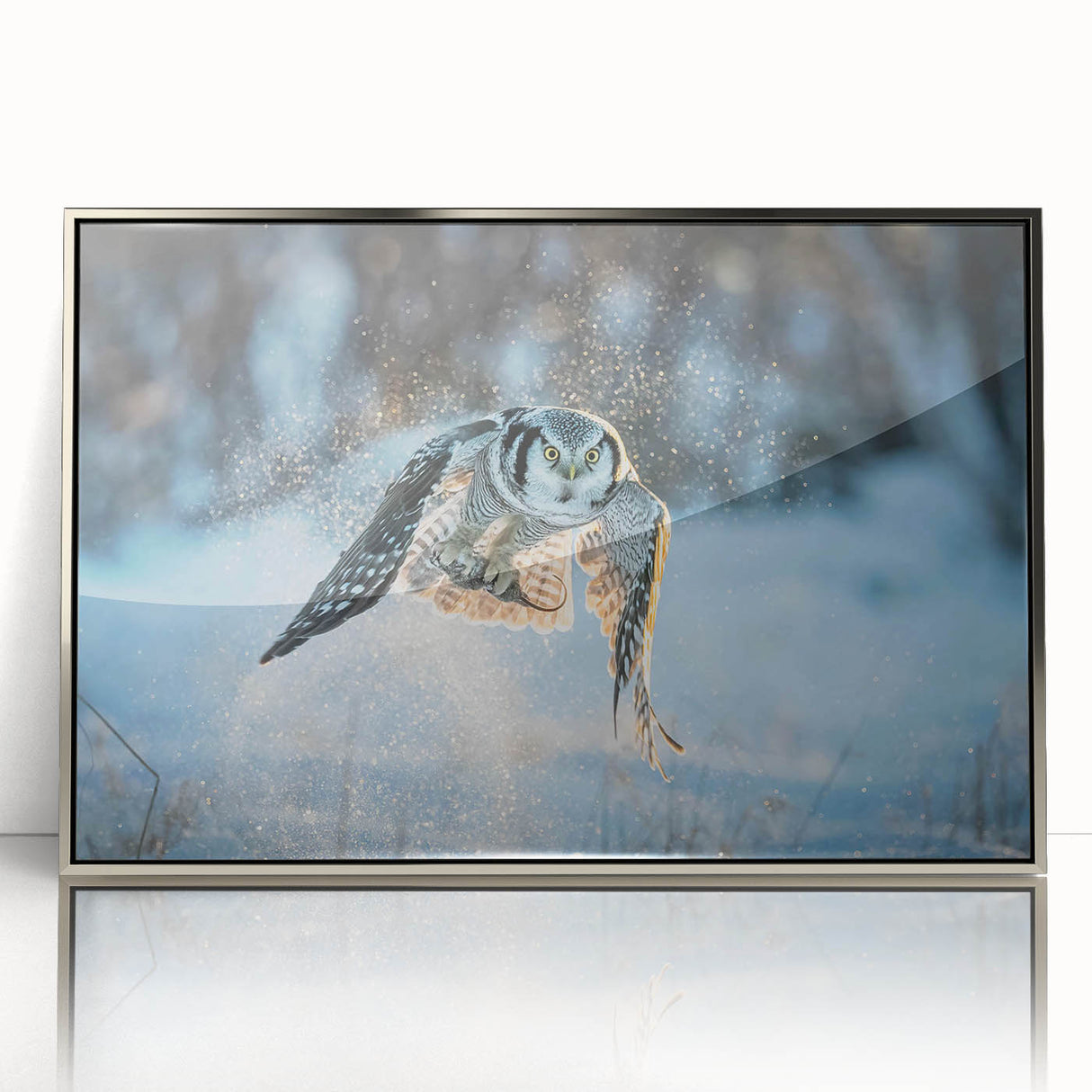 Framed acrylic wall art featuring a collection of birds in a detailed design, showcasing vibrant colors and elegant silver frame, ideal for modern decor.