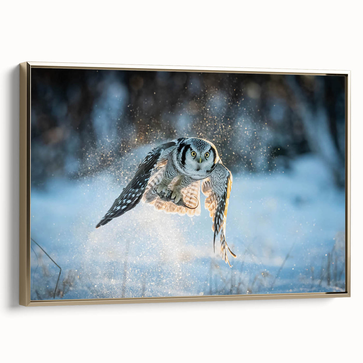 Framed wall art featuring a collection of birds in a vibrant, colorful design, showcased from the side with a sleek gold frame, perfect for home decor.