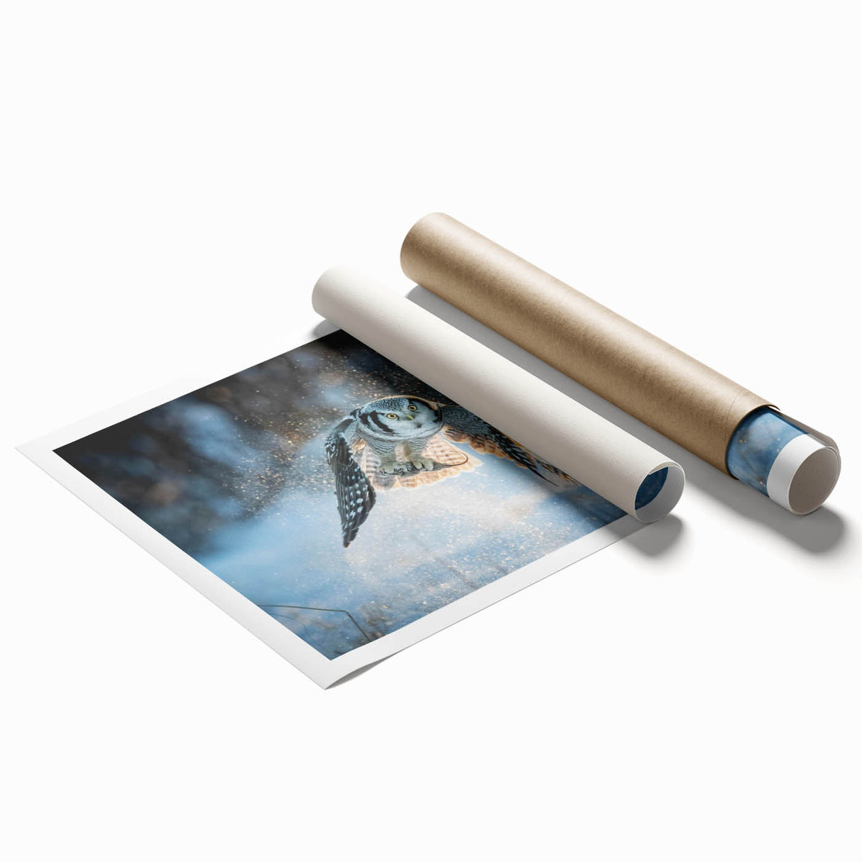 Colorful rolled print showcasing a vibrant 'Birds of Prey' design, featuring detailed illustrations of various birds in flight against a textured background, ideal for wildlife art enthusiasts.