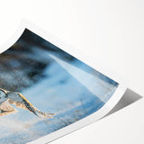 Colorful rolled print showcasing a vibrant bird-themed wall art design, featuring intricate details and textures, ideal for home decor and art enthusiasts.