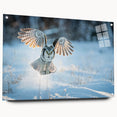 Acrylic glass wall art showcasing a vibrant birds of prey design, elegantly displayed from the side with decorative pins, ideal for nature enthusiasts and home decor.