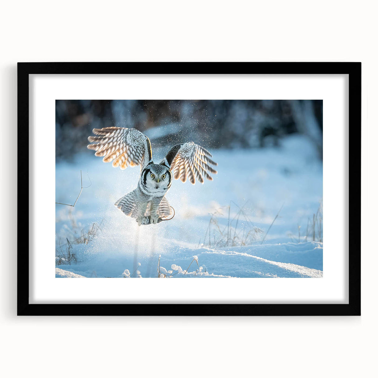 Framed wall art depicting a stylized bird design in a modern black frame, showcasing intricate details and vibrant colors, perfect for home decor.
