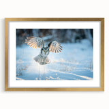 Elegant wall art featuring a gold-framed design of birds from the "Birds of Pray" collection, showcasing vibrant colors and intricate details, perfect for enhancing any modern decor.