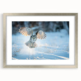 Framed wall art featuring a collection of bird illustrations in a modern design, showcasing vibrant colors and a sleek silver frame with a mat, ideal for home decor.