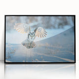 Framed acrylic wall art featuring a striking design of birds in flight, showcasing vibrant colors against a black background, perfect for modern home decor.