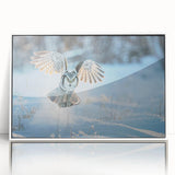 Framed acrylic wall art featuring a vibrant birds of prey design, showcasing intricate details and a sleek white frame, ideal for home decor enthusiasts.