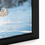 Framed wall art featuring a vibrant close-up of a bird design, showcasing intricate details and rich colors, perfect for enhancing modern home decor.