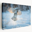 Stretched canvas wall art showcasing a vibrant bird of prey design in rich colors, perfect for adding a bold statement to any modern decor.
