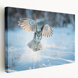 Stretched canvas wall art showcasing a vibrant bird of prey design in rich colors, perfect for adding a bold statement to any modern decor.