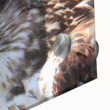 Close-up of a vibrant acrylic wall art piece showcasing a collection of colorful birds, emphasizing intricate details and textures, perfect for home decor.