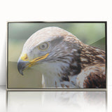 Framed wall art featuring a striking design of birds in flight, showcasing intricate details and vibrant colors, perfect for enhancing any living space with a touch of nature.