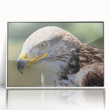 Framed acrylic wall art featuring a captivating design of various birds, showcasing vibrant colors and intricate details, perfect for home decor enhancement.