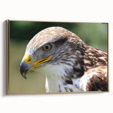 Framed wall art featuring a collection of bird illustrations in a vibrant color palette, showcasing intricate details and a gold frame, perfect for home decor.