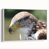 Framed wall art featuring a colorful design of various birds, elegantly showcased in a white frame, ideal for enhancing home decor aesthetics.