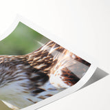 Colorful rolled print of a bird-themed wall art design showcasing various species, perfect for home decor. Packaged securely in a cardboard tube for protection during shipping.