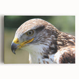 Colorful stretched canvas artwork depicting various birds in flight, showcasing intricate designs and vibrant hues, perfect for enhancing interior decor.