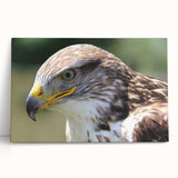 Vibrant stretched canvas wall art featuring a stunning collection of birds in flight, showcasing intricate details and rich colors, perfect for home decor.