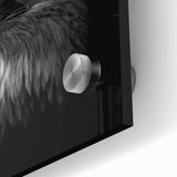 Close-up of a vibrant acrylic glass wall art piece showcasing a stunning birds of prey design, featuring intricate details and vivid colors, perfect for nature enthusiasts.