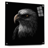 Acrylic glass wall art piece showcasing a vibrant Birds of Prey design, featuring intricate details and colorful bird illustrations, mounted with pins for display.