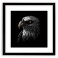 Framed wall art featuring a striking "Birds of Prey" design in black, showcasing intricate bird illustrations against a white background, perfect for home decor.
