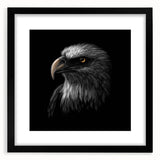 Framed wall art featuring a striking "Birds of Prey" design in black, showcasing intricate bird illustrations against a white background, perfect for home decor.