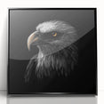 Framed acrylic wall art showcasing a vibrant bird design from the "Birds of Pray" collection, featuring a sleek black frame and modern aesthetic, ideal for home decor.