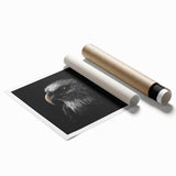 Rolled print of a vibrant bird-themed wall art design showcasing various species in vivid colors, ideal for home decor or art collection, presented in a protective tube.