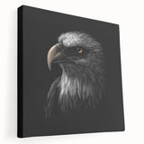 Stretched canvas wall art depicting a vibrant birds of prey design, showcasing intricate feather details and bold colors, perfect for nature enthusiasts' decor.