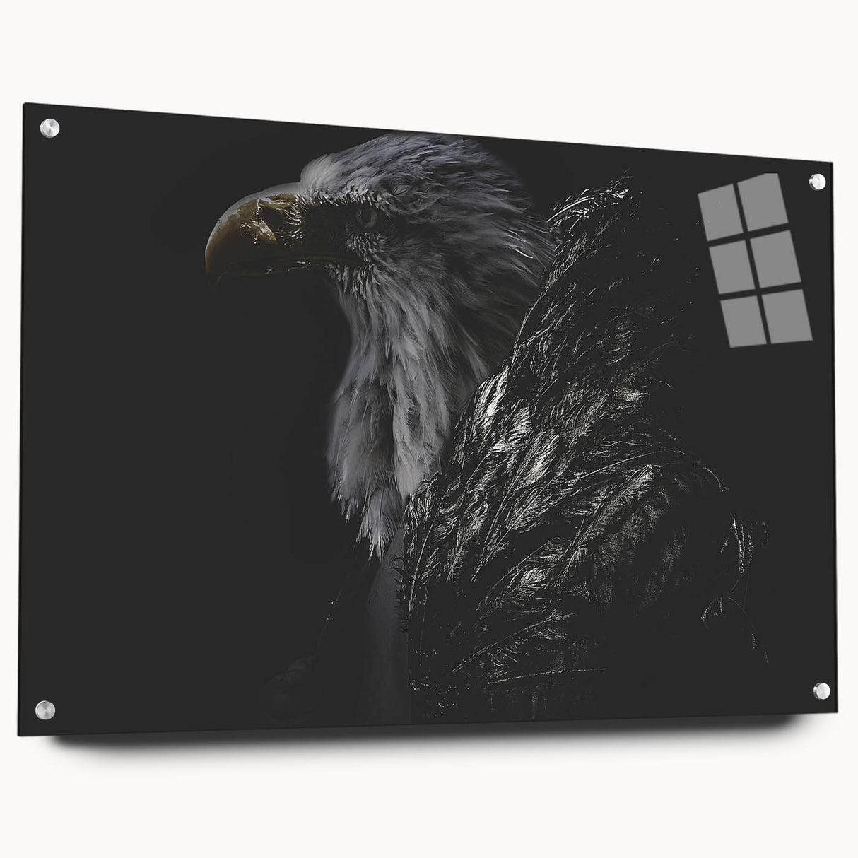 Acrylic glass wall art showcasing a vibrant "Birds of Pray" design, featuring a colorful array of birds in flight, mounted with decorative pins. Perfect for adding a modern touch to home decor.