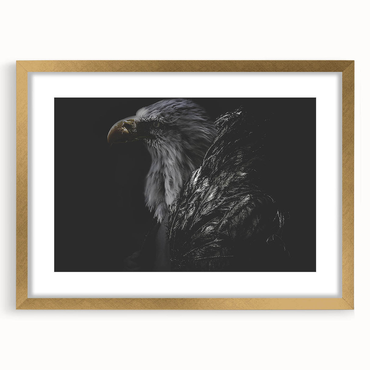 Elegant framed wall art featuring a gold mat and intricate bird designs, perfect for enhancing home decor with a touch of sophistication and artistry.