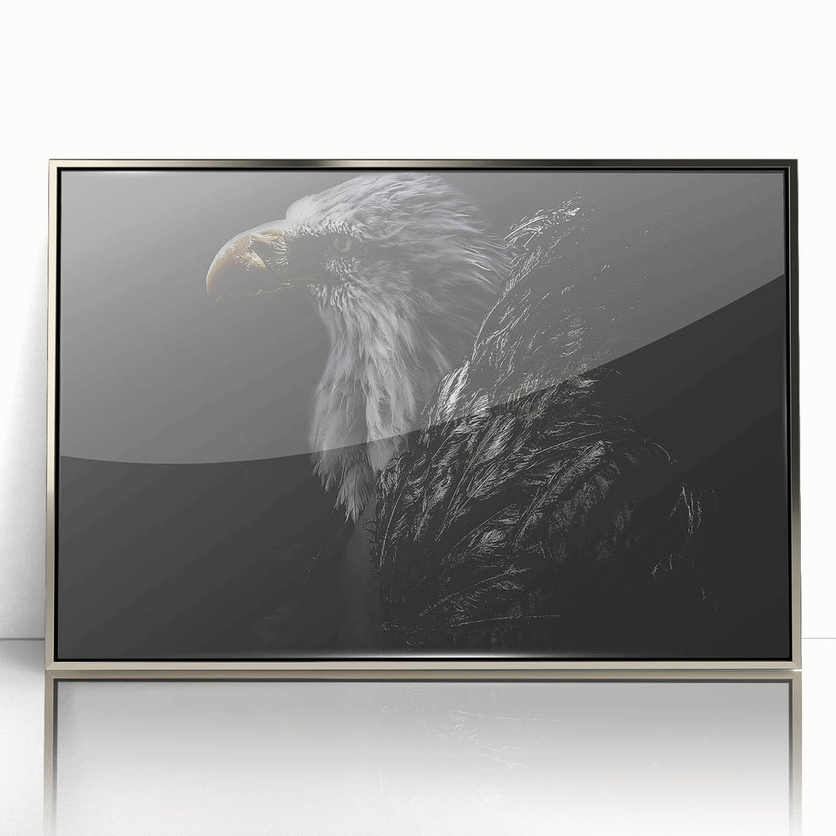 Framed acrylic wall art showcasing a vibrant birds of prey design with a sleek silver border, ideal for enhancing modern home décor. Perfect for nature enthusiasts.