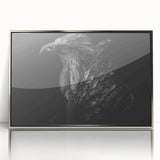 Framed acrylic wall art showcasing a vibrant birds of prey design with a sleek silver border, ideal for enhancing modern home décor. Perfect for nature enthusiasts.