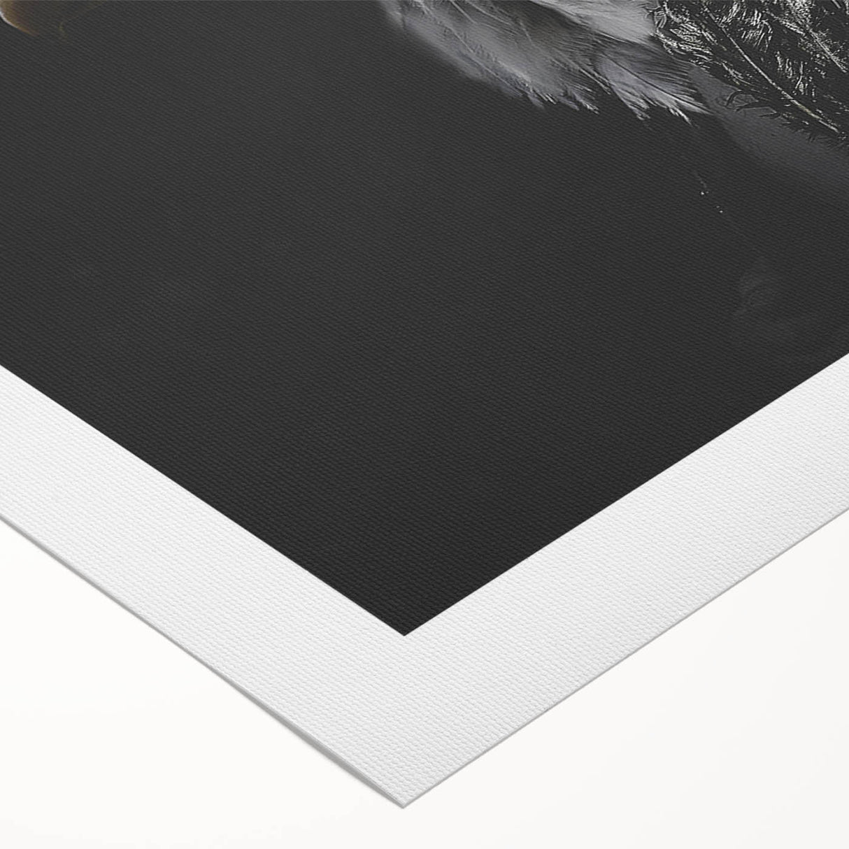 Vibrant rolled canvas featuring a stunning birds of prey design, showcasing intricate details and rich colors, perfect for home decor enthusiasts.
