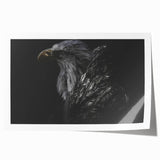 Rolled print of a vibrant bird-themed wall art design showcasing colorful illustrations of various birds, ideal for home decor, packaged securely in a cardboard tube.