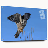 Acrylic glass wall art depicting a vibrant collection of bird illustrations, showcasing intricate details and colors, displayed in a side view with pins for hanging.