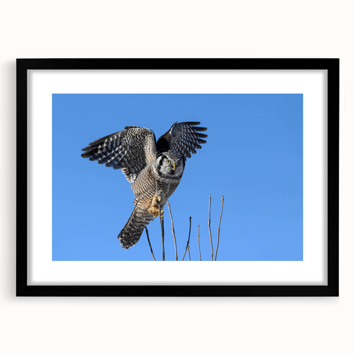 Framed wall art featuring a striking design of birds in flight, set in a sleek black frame with a mat, perfect for enhancing modern home decor.