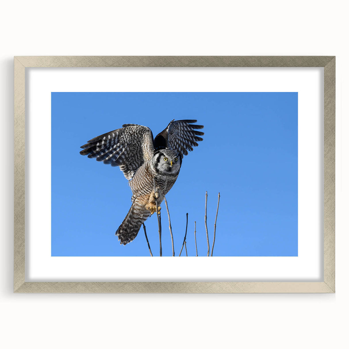 Framed wall art featuring a serene bird design in soft colors, elegantly displayed with a silver frame and matting, perfect for home decor enhancement.