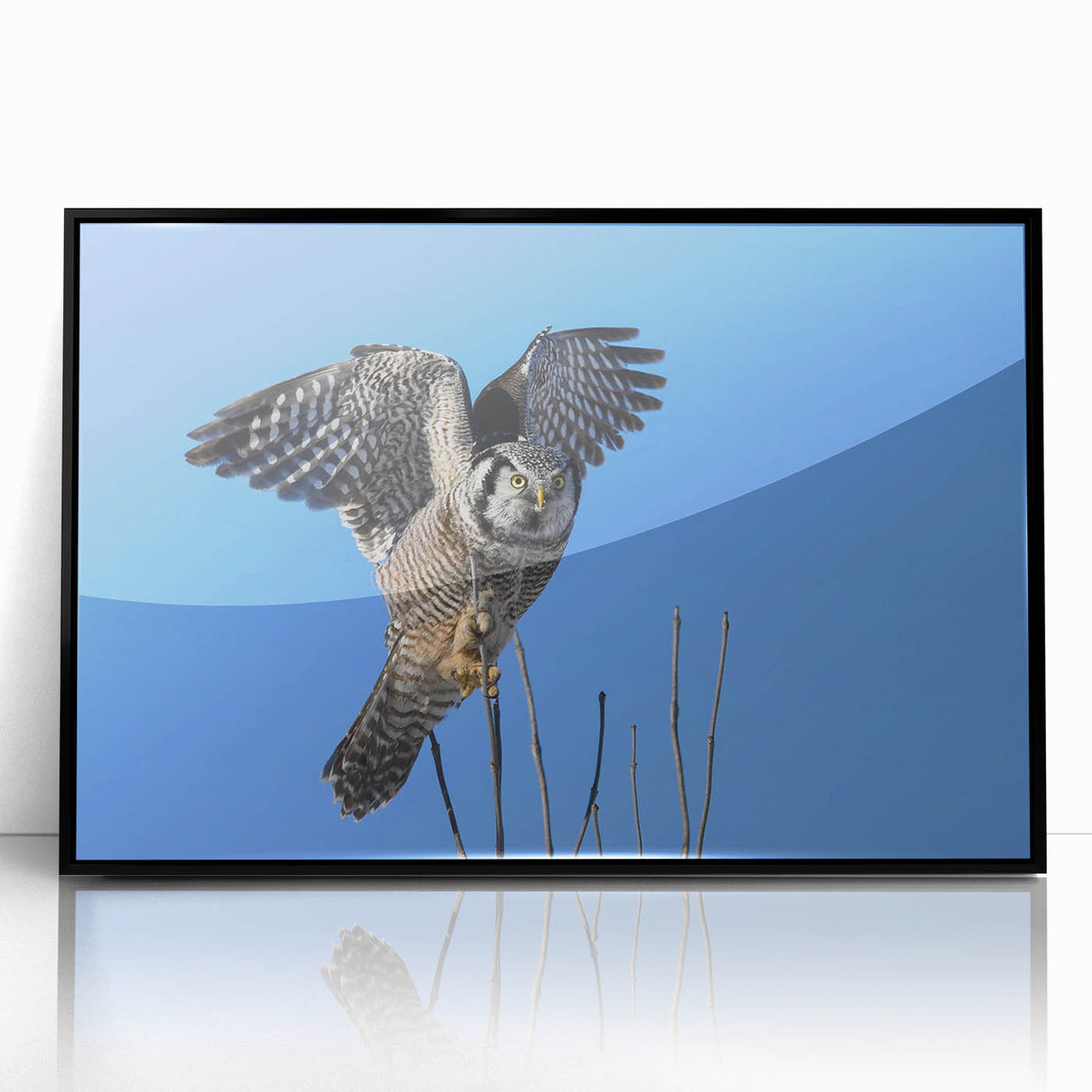 Framed wall art collection featuring a striking design of birds in flight, set in a sleek black frame. This acrylic piece adds a modern touch to any decor, perfect for nature enthusiasts.