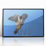 Framed wall art collection featuring a striking design of birds in flight, set in a sleek black frame. This acrylic piece adds a modern touch to any decor, perfect for nature enthusiasts.