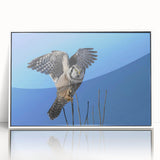 Framed acrylic wall art featuring a colorful birds of prey design, showcasing intricate details and vibrant colors, perfect for enhancing any modern decor.