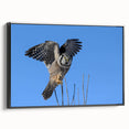 Framed canvas wall art featuring a vibrant birds of prey design, showcasing striking colors and detailed illustrations, perfect for enhancing contemporary decor.